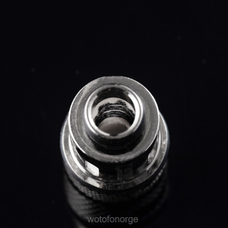 Wotofo Shop Online - Wotofo SMRT rpm2 pod coil HD2VH383 d33 clapton mesh 3stk